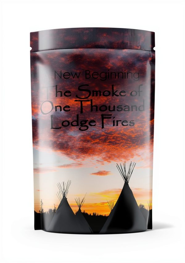 Native American Art History Book 1 of 4: A New Beginning Series-0