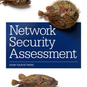 Network Security Assessment by O'Reilly Media, 3rd Edition, Kindle-0
