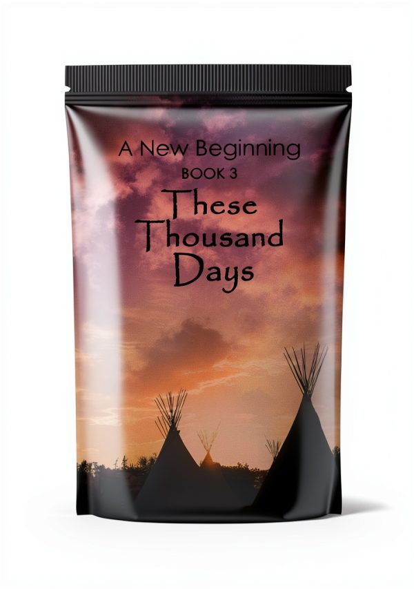 Little Creek Publishing Native American Art History Kindle eBook A New-0
