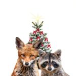 Ollie and Tip Christmas Adventure eBook by Wholesome Hearts Publishing-0