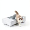 Meowant Automatic Litter Box, Self Cleaning Cat Litter Box with App Control, Open Top Cat Box for Multi Cats, Dual Rake, Works with Clumping Litter, Anti Pinch Safety Feature, Odor Control-6