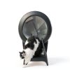Litter-Robot 4 Ramp by Whisker - Fit, Non-Slip Feet, Black-1
