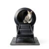 Litter-Robot 4 Ramp by Whisker - Fit, Non-Slip Feet, Black-4