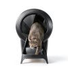 Litter-Robot 4 Ramp by Whisker - Fit, Non-Slip Feet, Black-2