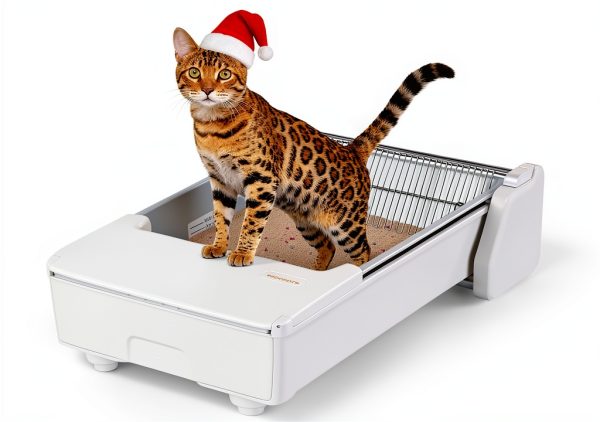 Meowant Automatic Litter Box, Self Cleaning Cat Litter Box with App Control, Open Top Cat Box for Multi Cats, Dual Rake, Works with Clumping Litter, Anti Pinch Safety Feature, Odor Control-0